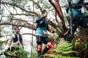 BIB: 
                            <button type="button" onclick="openModal(26299714)" class="btn btn-primary btn-sm float-right btn-popup" data-toggle="modal" data-target=".modal-high-quality">
                        <i class="fas fa-shopping-cart"></i> Add to Cart
                    </button>
                                            <button type="button" onclick="isThisMe(26299714, true)" class="btn btn-success btn-sm float-right btn-popup btn-isme hidden" data-toggle="tooltip" data-placement="bottom" title="นี่คือรูปของคุณใช่ไหม คลิกที่นี่เพื่อเอาเข้าอัลบั้ม">
                        <i class="fas fa-plus"></i> Add to album
                    </button>
                    <button type="button" onclick="isThisMe(26299714, false)" class="btn btn-warning btn-sm float-right btn-popup btn-isnotme hidden">
                        <i class="fas fa-ban"></i> Remove from album
                    </button>